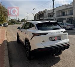 جیتۆر داشينگ